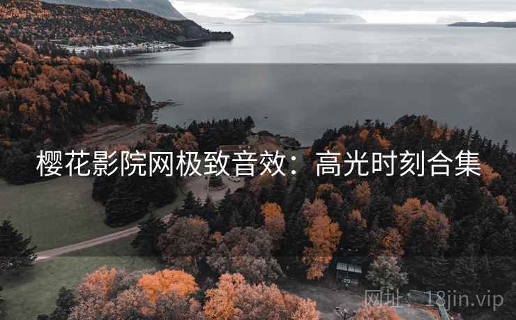 樱花影院网极致音效：高光时刻合集